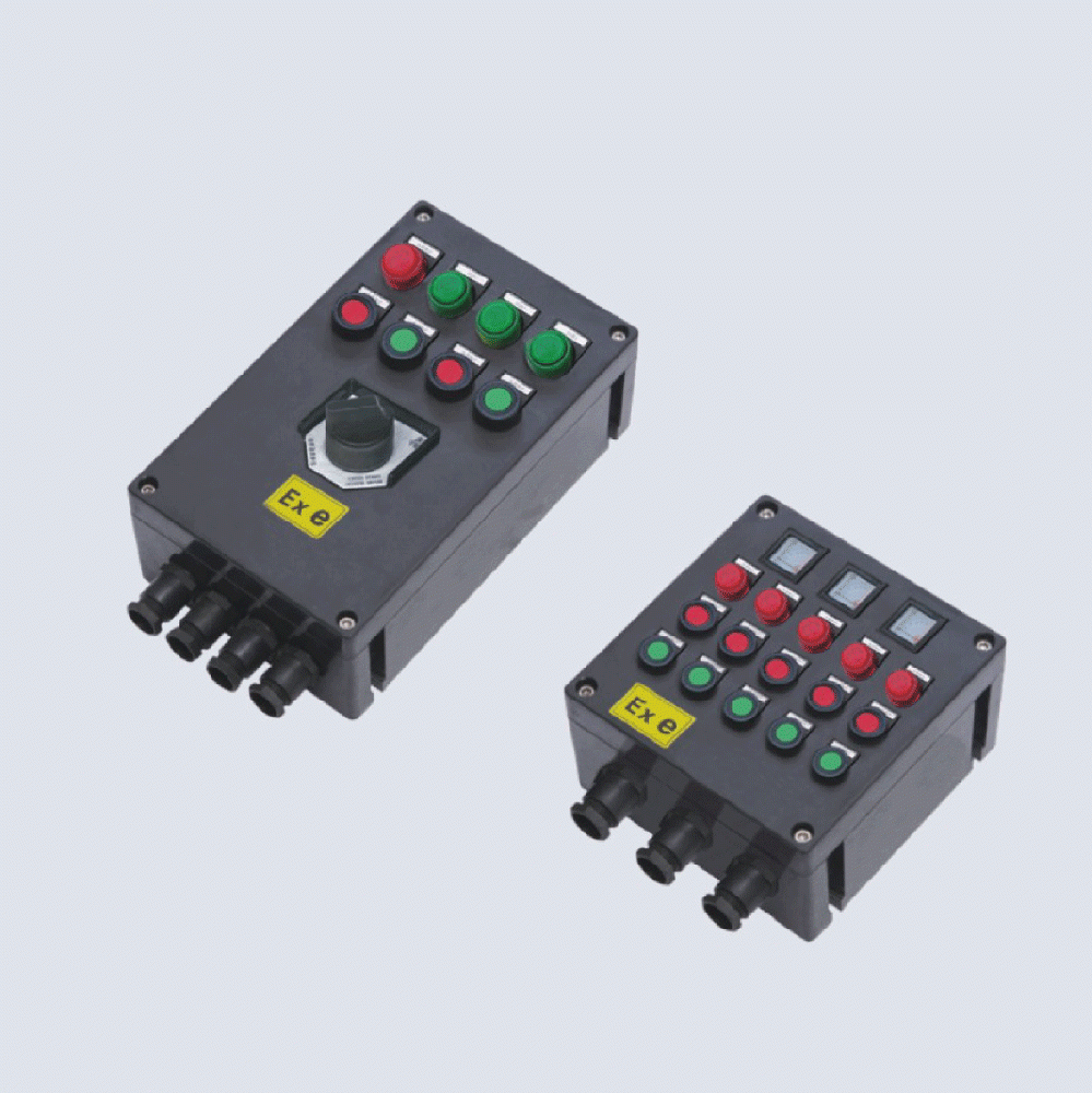 BXK8050-系列防爆防腐控制箱(IIC、 ExtD)