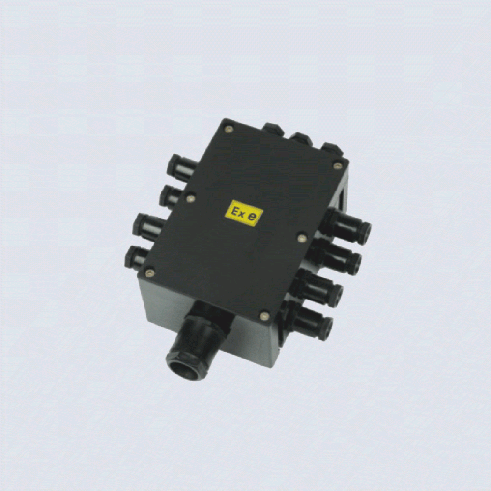 BJX8050系列防爆防腐接線箱(II C、 ExtD)