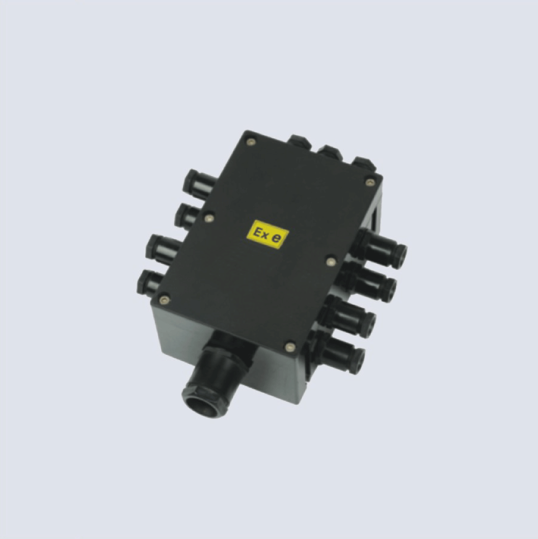 BJX8050系列防爆防腐接線箱(II C、 ExtD)
