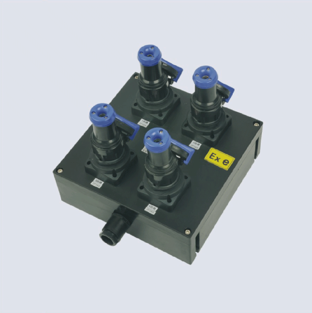 BXX8050-系列防爆防腐檢修電源插座箱(IIC、 ExtD)